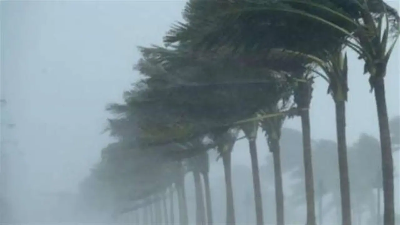 توقعات متقلبة لحالة الطقس في الإسكندرية مع هطول أمطار ونشاط قوي للرياح غداً